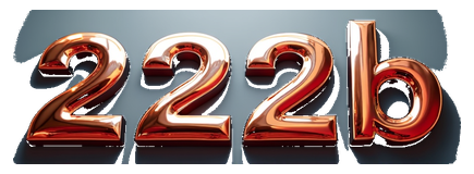 222b logo